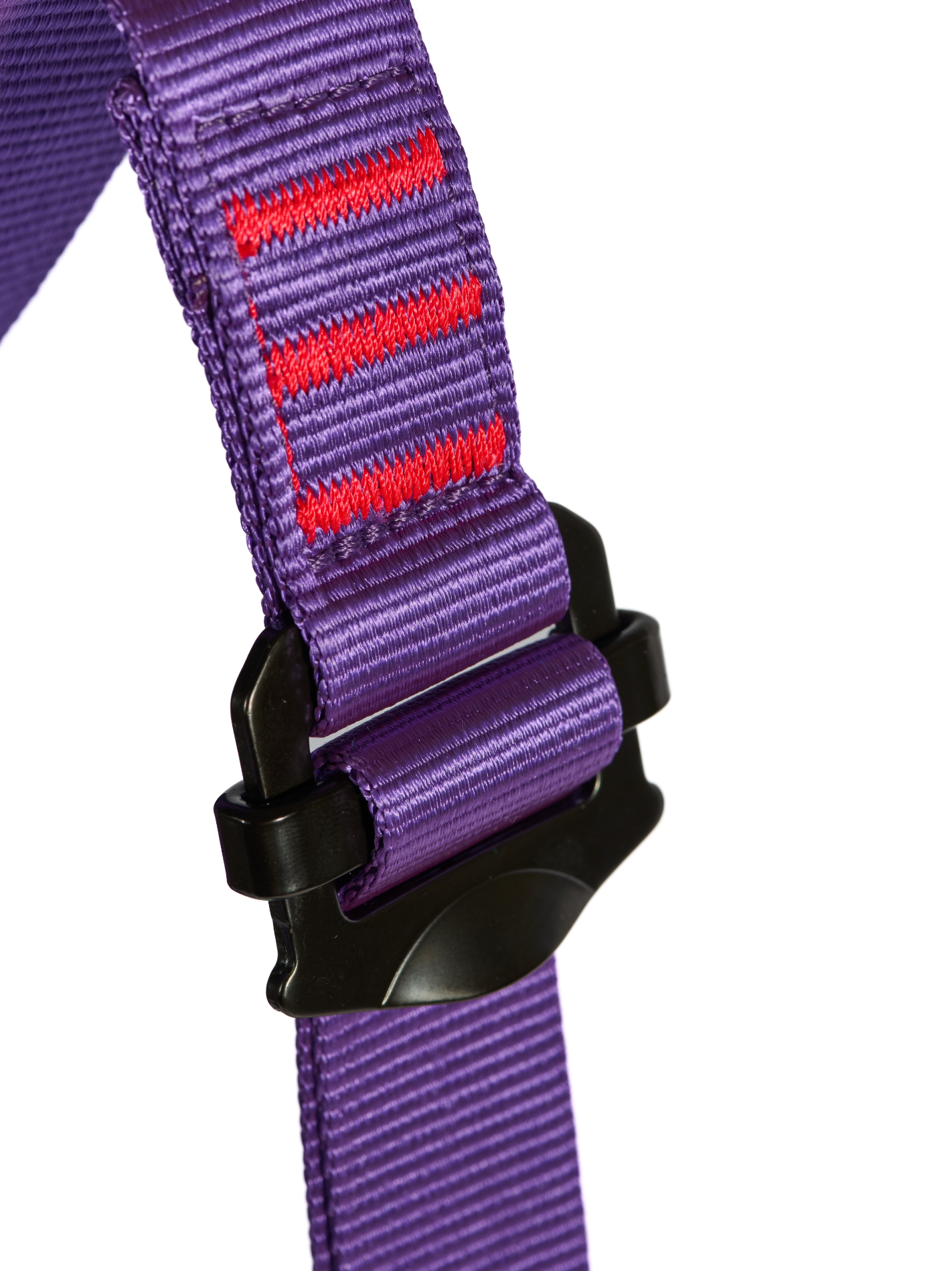 BAMBI